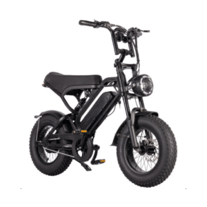 V20 Pro Mini Fat Bike