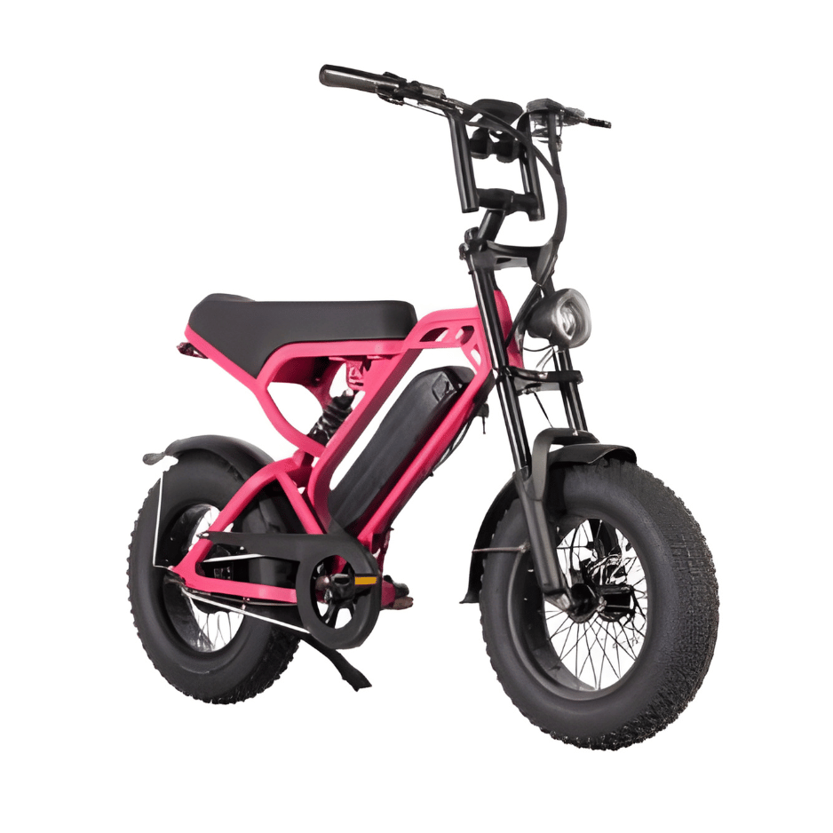 Untitled design - 2026-01-25T143747.832